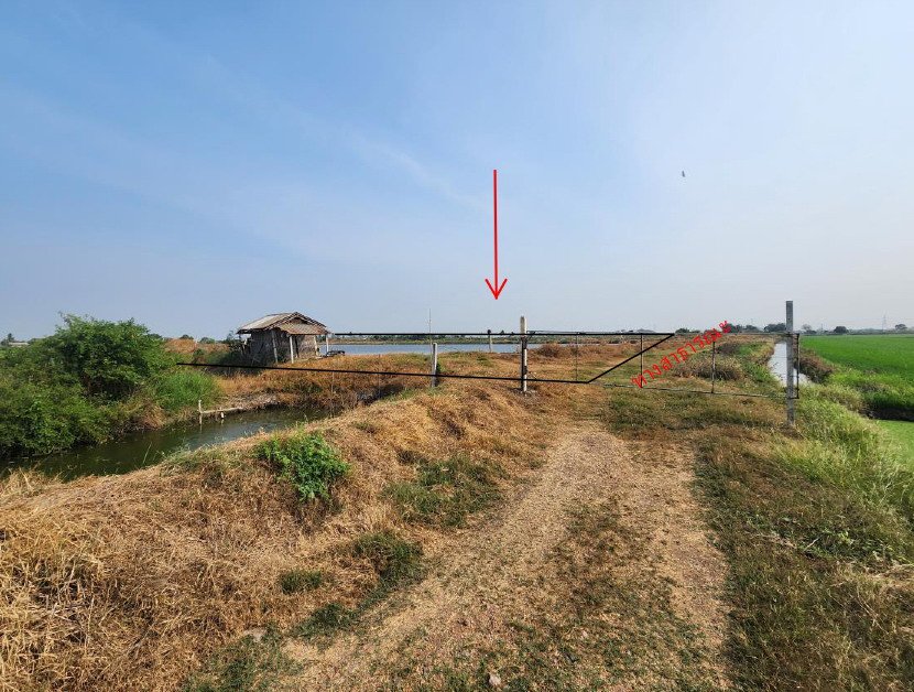 รูปที่ดินว่างเปล่า ดอนตูม บางเลน นครปฐม