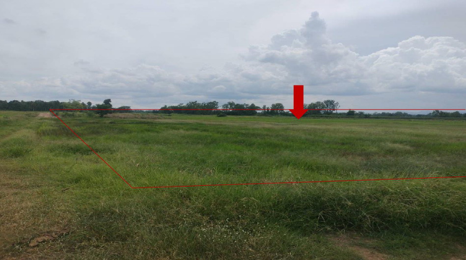 รูปที่ดินว่างเปล่า บ่อไทย หนองไผ่ เพชรบูรณ์