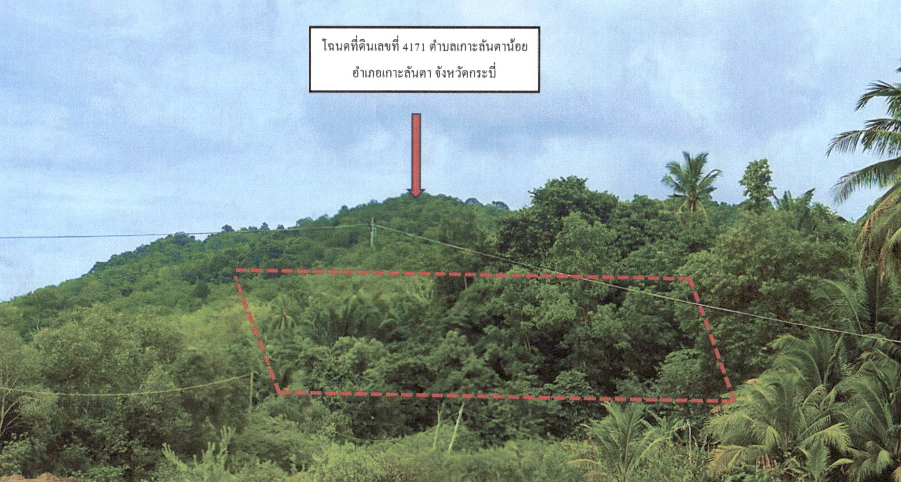 รูปที่ดินว่างเปล่า เกาะลันตาน้อย เกาะลันตา กระบี่