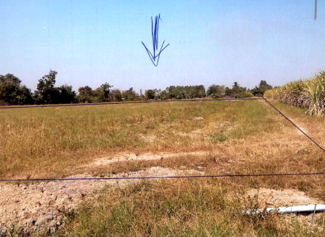 รูปที่ดินว่างเปล่า หนองสาหร่าย ดอนเจดีย์ สุพรรณบุรี