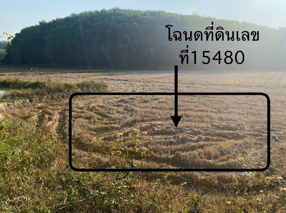 รูปที่ดินว่างเปล่า บัวสลี แม่ลาว เชียงราย