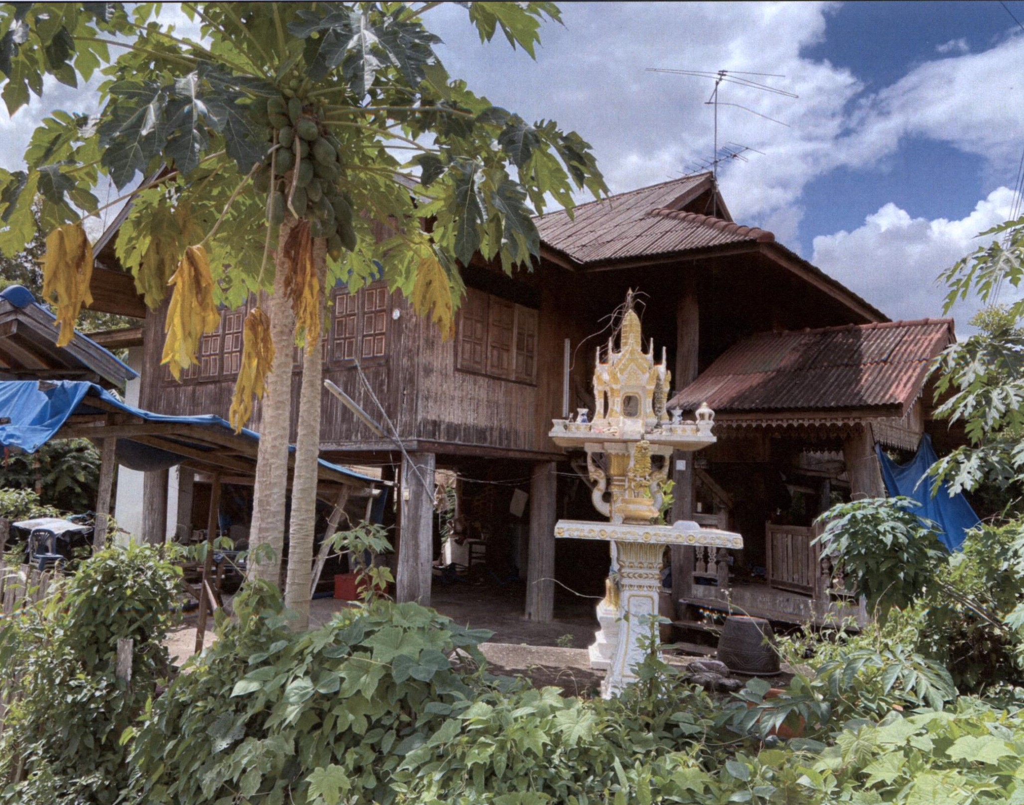 รูปที่ดินพร้อมสิ่งปลูกสร้าง ต้าผามอก ลอง แพร่