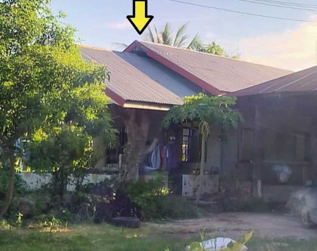 รูปที่ดินพร้อมสิ่งปลูกสร้าง กุดดู่ โนนสัง หนองบัวลำภู