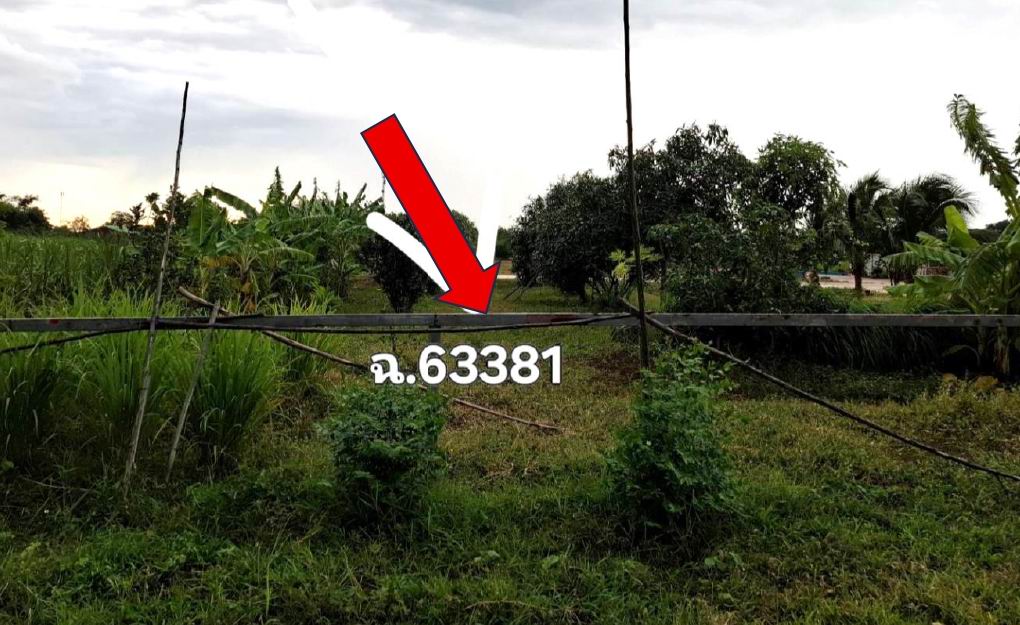 รูปที่ดินว่างเปล่า โนนเมืองพัฒนา ด่านขุนทด นครราชสีมา