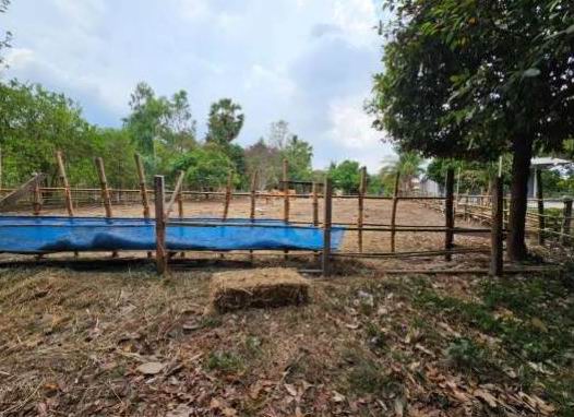 รูปที่ดินว่างเปล่า บัวงาม บุณฑริก อุบลราชธานี