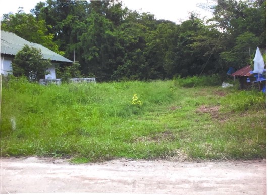 รูปที่ดินว่างเปล่า ตาดทอง เมืองยโสธร ยโสธร