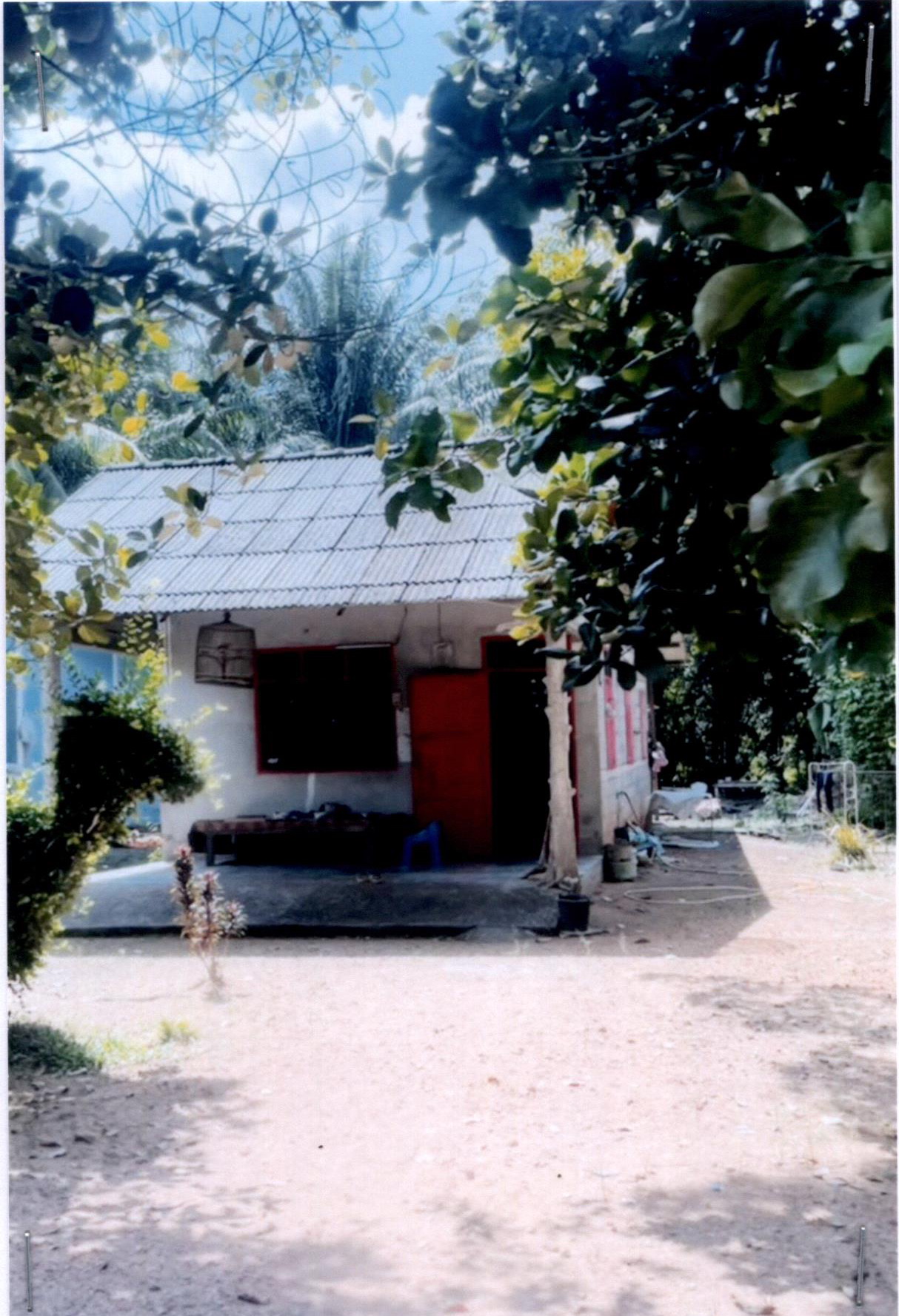 รูปที่ดินพร้อมสิ่งปลูกสร้าง หานโพธิ์ เขาชัยสน พัทลุง