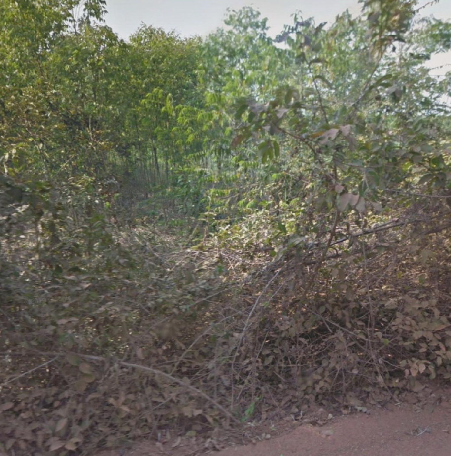 รูปที่ดินว่างเปล่า โคกปี่ฆ้อง เมืองสระแก้ว สระแก้ว