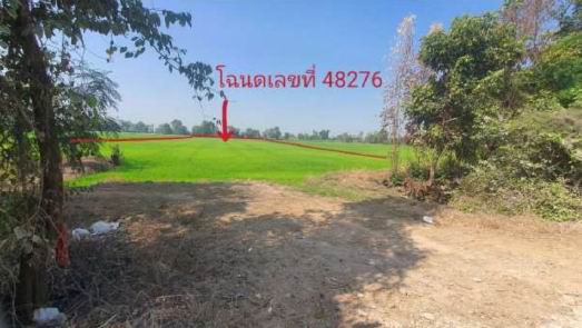 รูปที่ดินว่างเปล่า เจริญผล บรรพตพิสัย นครสวรรค์
