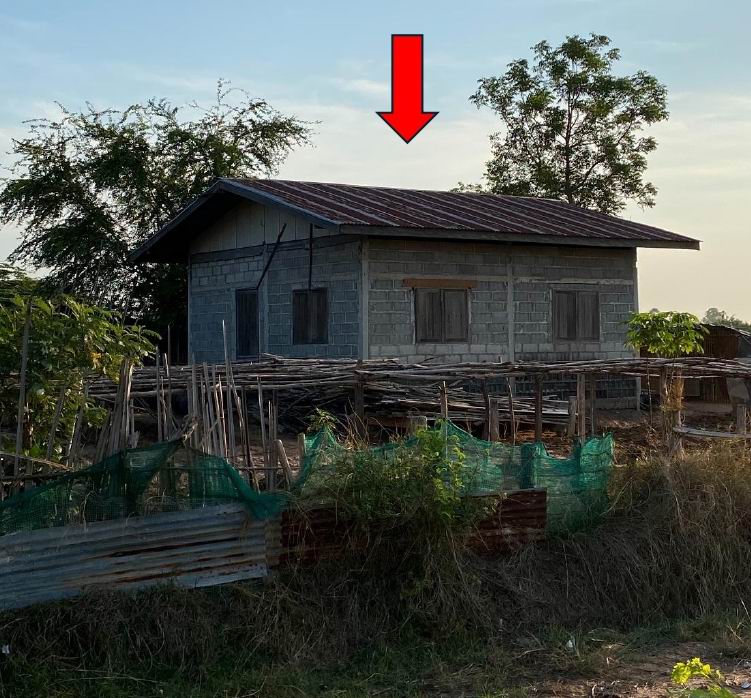 รูปที่ดินพร้อมสิ่งปลูกสร้าง กุดพิมาน ด่านขุนทด นครราชสีมา