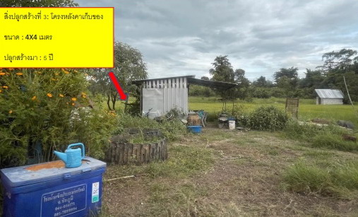 รูปที่ดินพร้อมสิ่งปลูกสร้าง ผักปัง ภูเขียว ชัยภูมิ