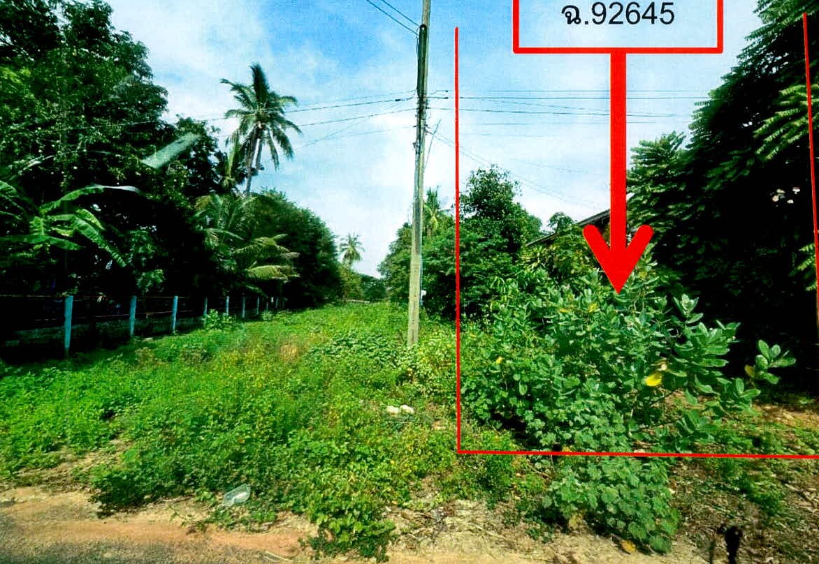 รูปที่ดินว่างเปล่า นาบัว เมืองสุรินทร์ สุรินทร์