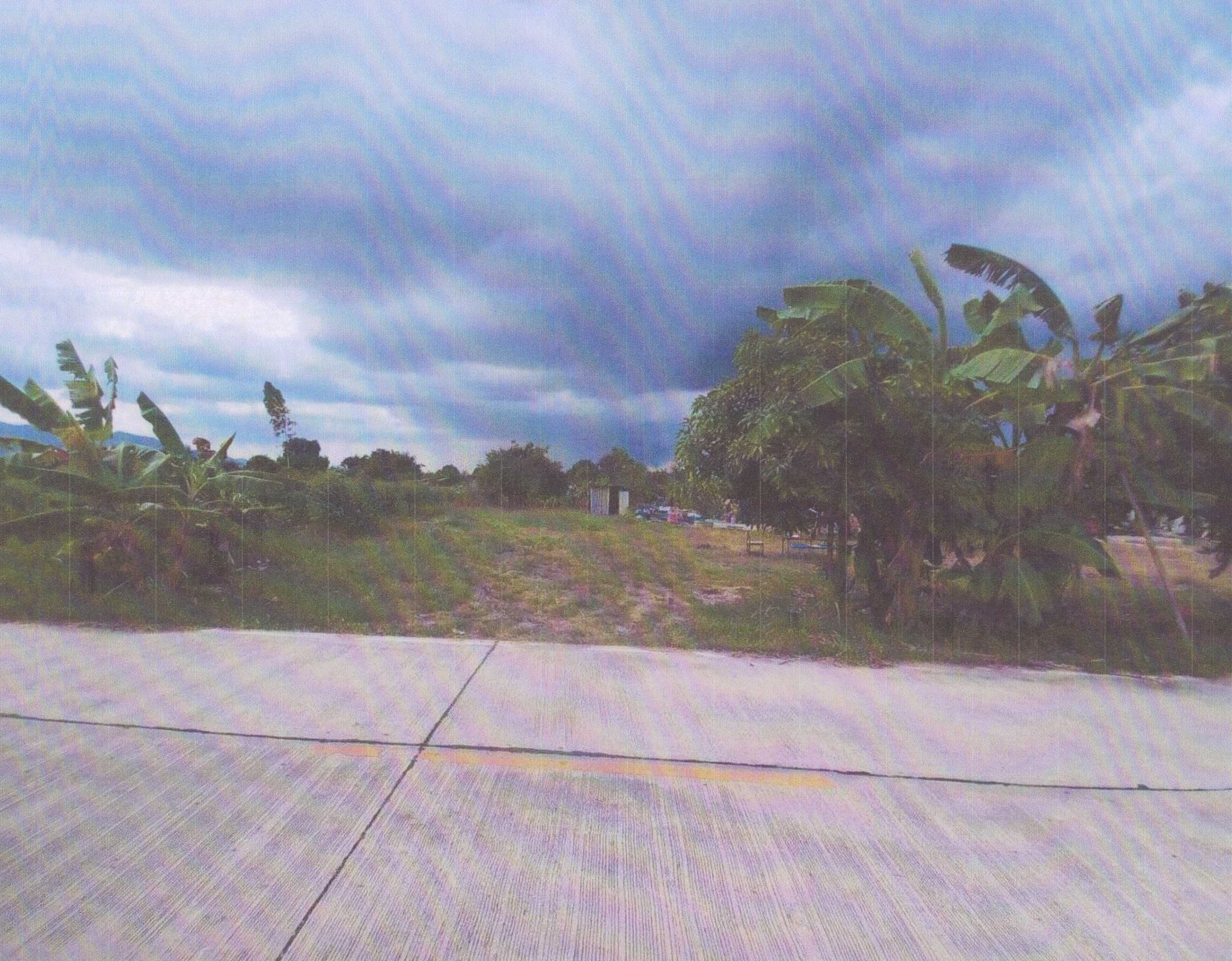 รูปที่ดินว่างเปล่า หนองชาก บ้านบึง ชลบุรี