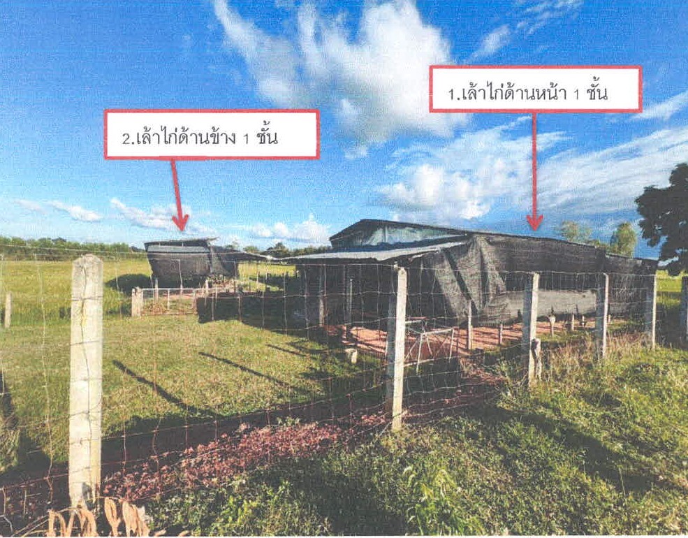 รูปที่ดินพร้อมสิ่งปลูกสร้าง ตระแสง เมืองสุรินทร์ สุรินทร์