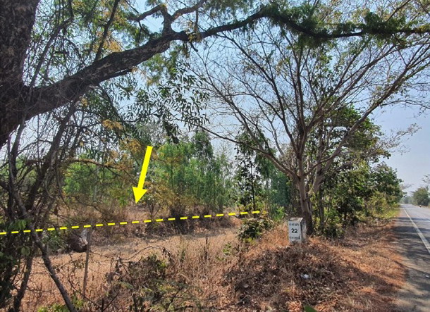 รูปที่ดินว่างเปล่า พนา พนา อำนาจเจริญ