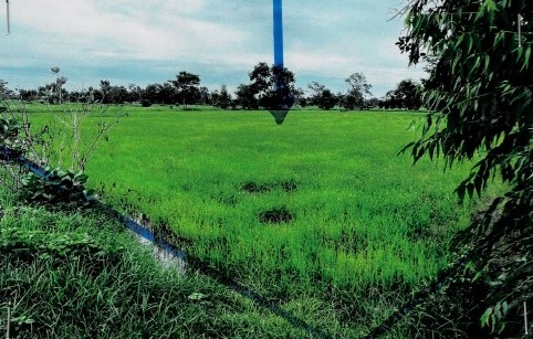 รูปที่ดินว่างเปล่า (บ้านจาน)หายโศก พุทไธสง บุรีรัมย์
