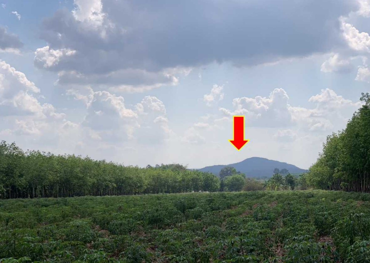 รูปที่ดินว่างเปล่า โนนทัน เมืองหนองบัวลำภู หนองบัวลำภู