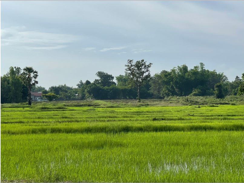 รูปที่ดินว่างเปล่า บ้านธาตุ เพ็ญ อุดรธานี