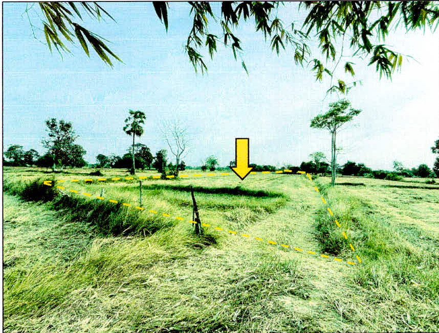 รูปที่ดินว่างเปล่า หัวช้าง อุทุมพรพิสัย ศรีสะเกษ