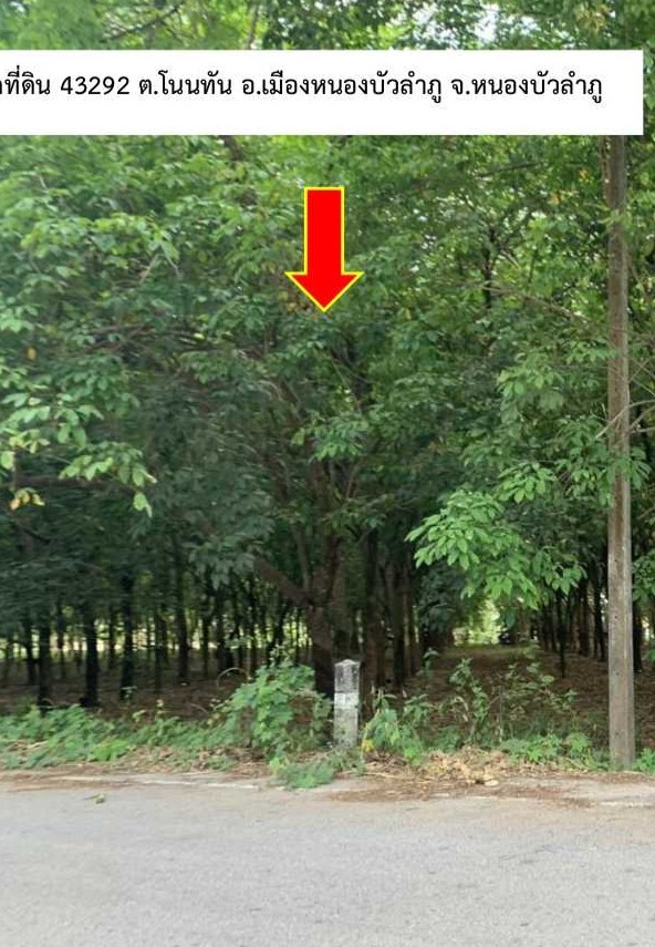 รูปที่ดินว่างเปล่า โนนทัน เมืองหนองบัวลำภู หนองบัวลำภู