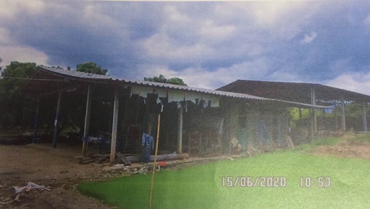 รูปที่ดินพร้อมสิ่งปลูกสร้าง วังผาง ป่าซาง ลำพูน
