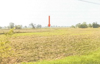รูปที่ดินว่างเปล่า หนองผือ เมืองสรวง ร้อยเอ็ด