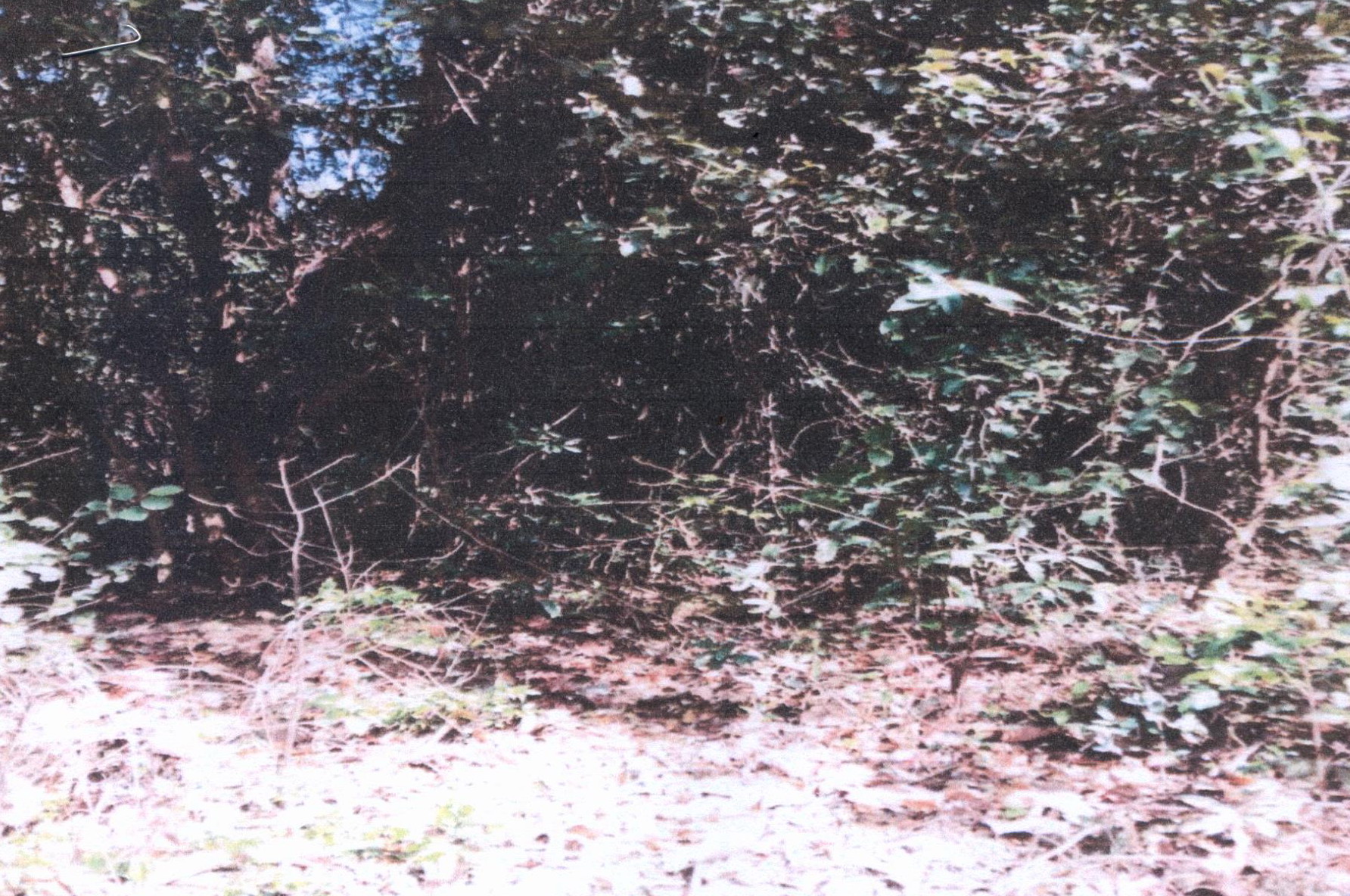 รูปที่ดินว่างเปล่า หนองขอน เมืองอุบลราชธานี อุบลราชธานี