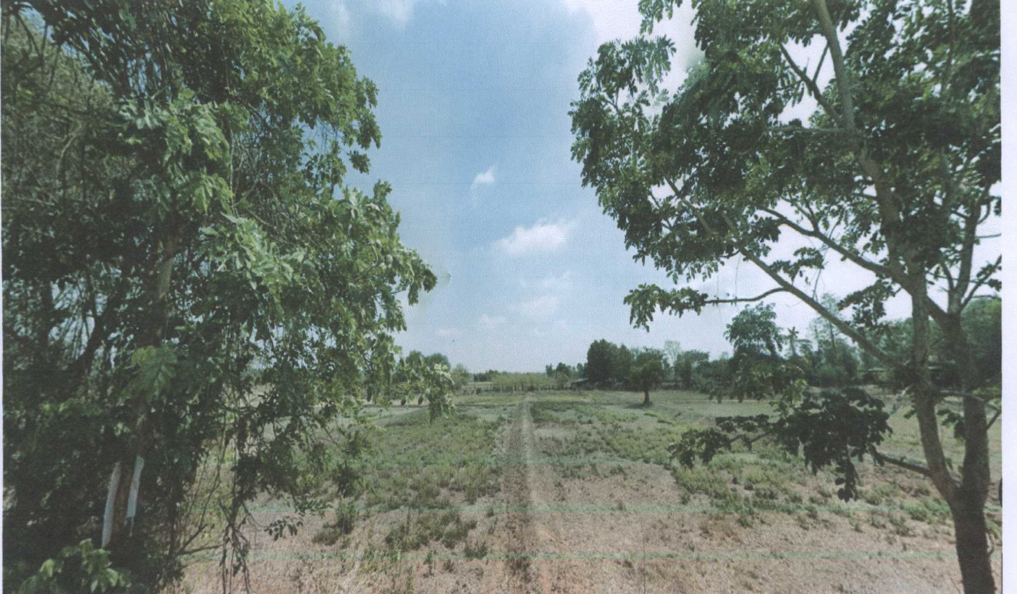 รูปที่ดินว่างเปล่า ท่าสองคอน เมืองมหาสารคาม มหาสารคาม