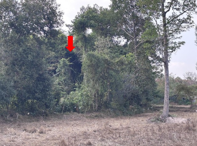 รูปที่ดินว่างเปล่า ยางขี้นก เขื่องใน อุบลราชธานี
