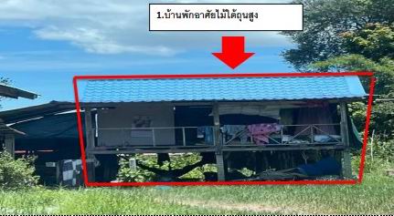 รูปที่ดินพร้อมสิ่งปลูกสร้าง ไผ่ เมืองกาฬสินธุ์ กาฬสินธุ์