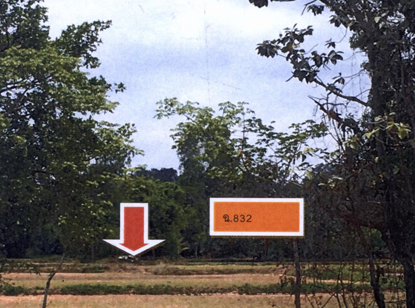 รูปที่ดินว่างเปล่า ยางสักกระโพหลุ่ม ม่วงสามสิบ อุบลราชธานี
