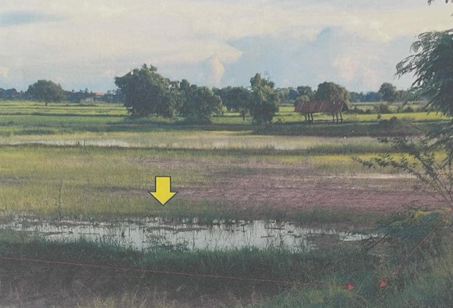 รูปที่ดินว่างเปล่า ยางน้อย โกสุมพิสัย มหาสารคาม