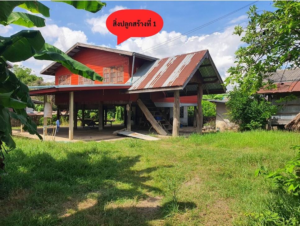 รูปที่ดินพร้อมสิ่งปลูกสร้าง โคกงาม บ้านฝาง ขอนแก่น