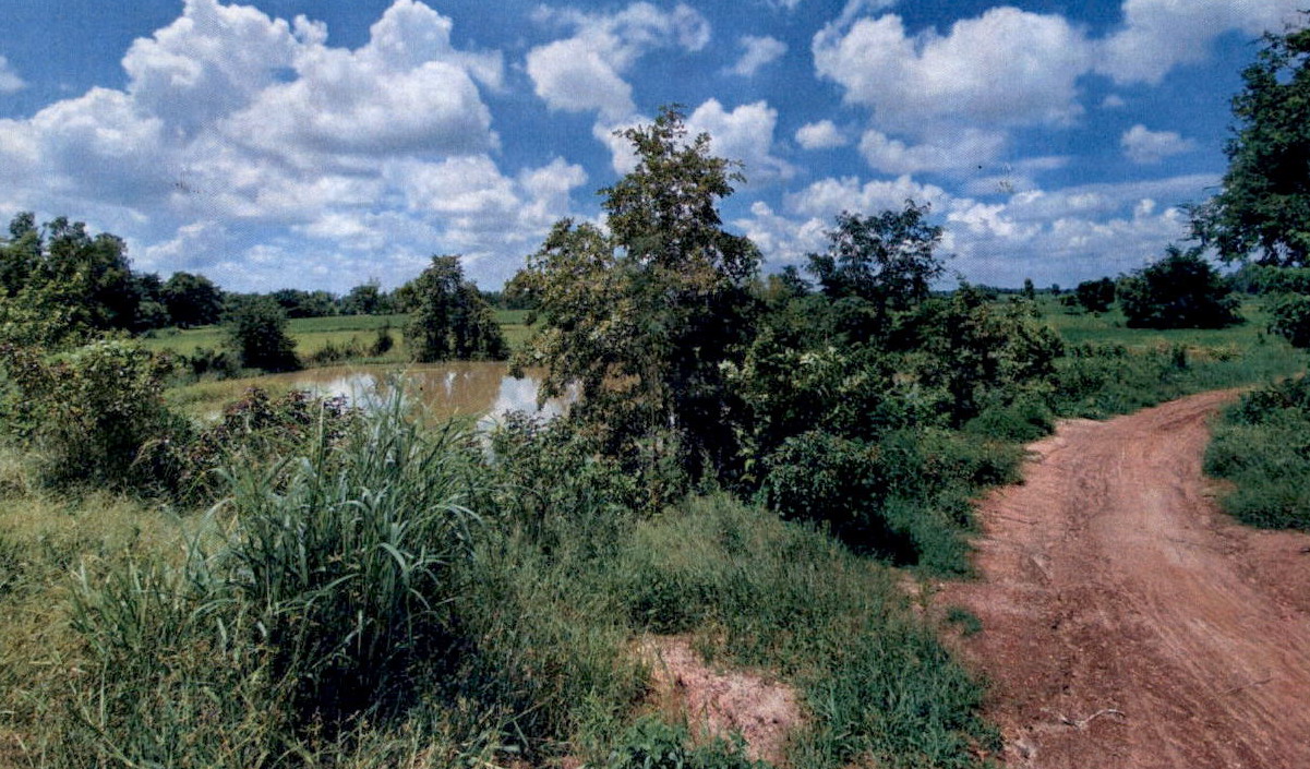รูปที่ดินว่างเปล่า หลุบ เมืองกาฬสินธุ์ กาฬสินธุ์