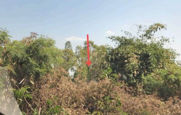 รูปที่ดินว่างเปล่า หนองโก กระนวน ขอนแก่น