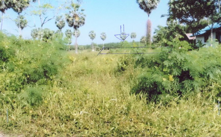 รูปที่ดินว่างเปล่า รัตภูมิ ควนเนียง สงขลา