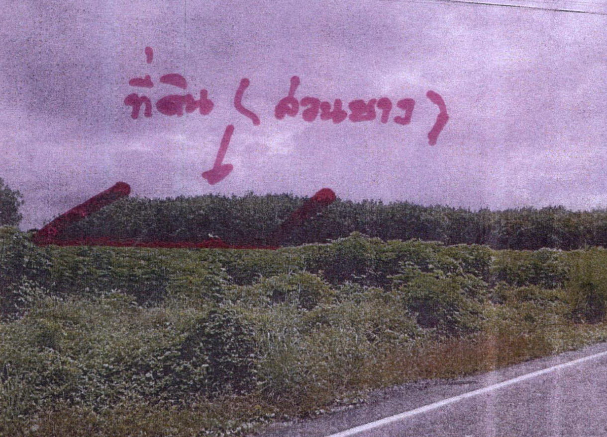รูปที่ดินว่างเปล่า หนองบัวบาน หนองวัวซอ อุดรธานี
