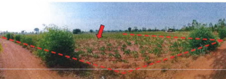รูปที่ดินว่างเปล่า หนองตาไก้ โพธิ์ชัย ร้อยเอ็ด