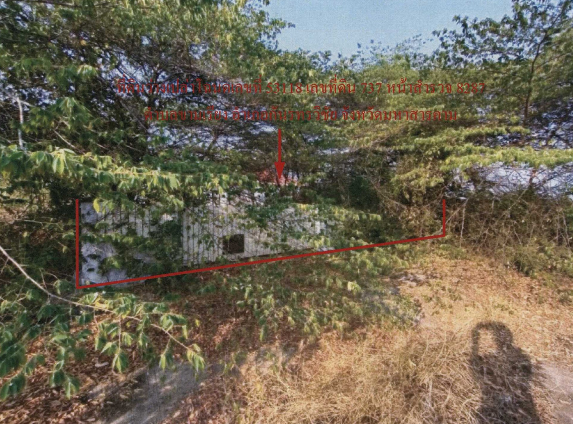 รูปที่ดินว่างเปล่า ขามเรียง กันทรวิชัย มหาสารคาม