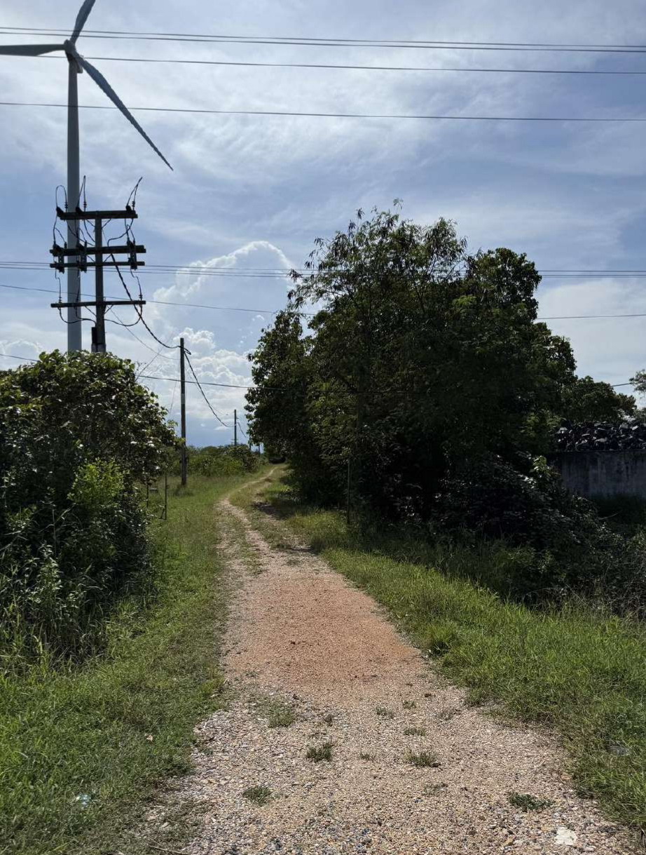 รูปที่ดินว่างเปล่า คลองแดน ระโนด สงขลา