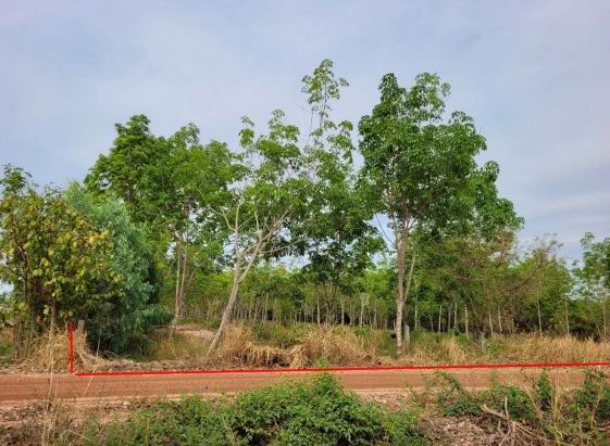 รูปที่ดินว่างเปล่า มหาไชย สมเด็จ กาฬสินธุ์