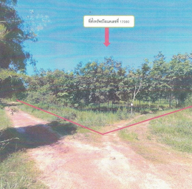 รูปที่ดินว่างเปล่า โนนสวาง กุดข้าวปุ้น อุบลราชธานี