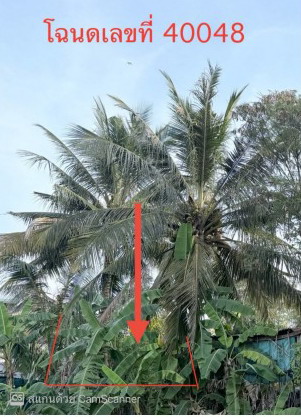 รูปที่ดินว่างเปล่า หนองแวง เมืองร้อยเอ็ด ร้อยเอ็ด