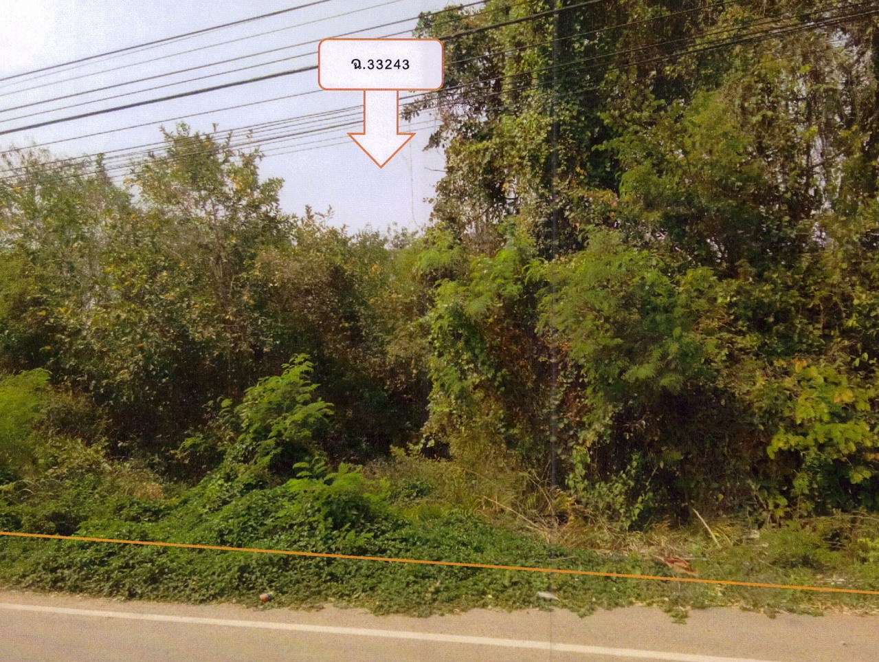 รูปที่ดินว่างเปล่า โพธิ์ชัย เมืองหนองบัวลำภู หนองบัวลำภู