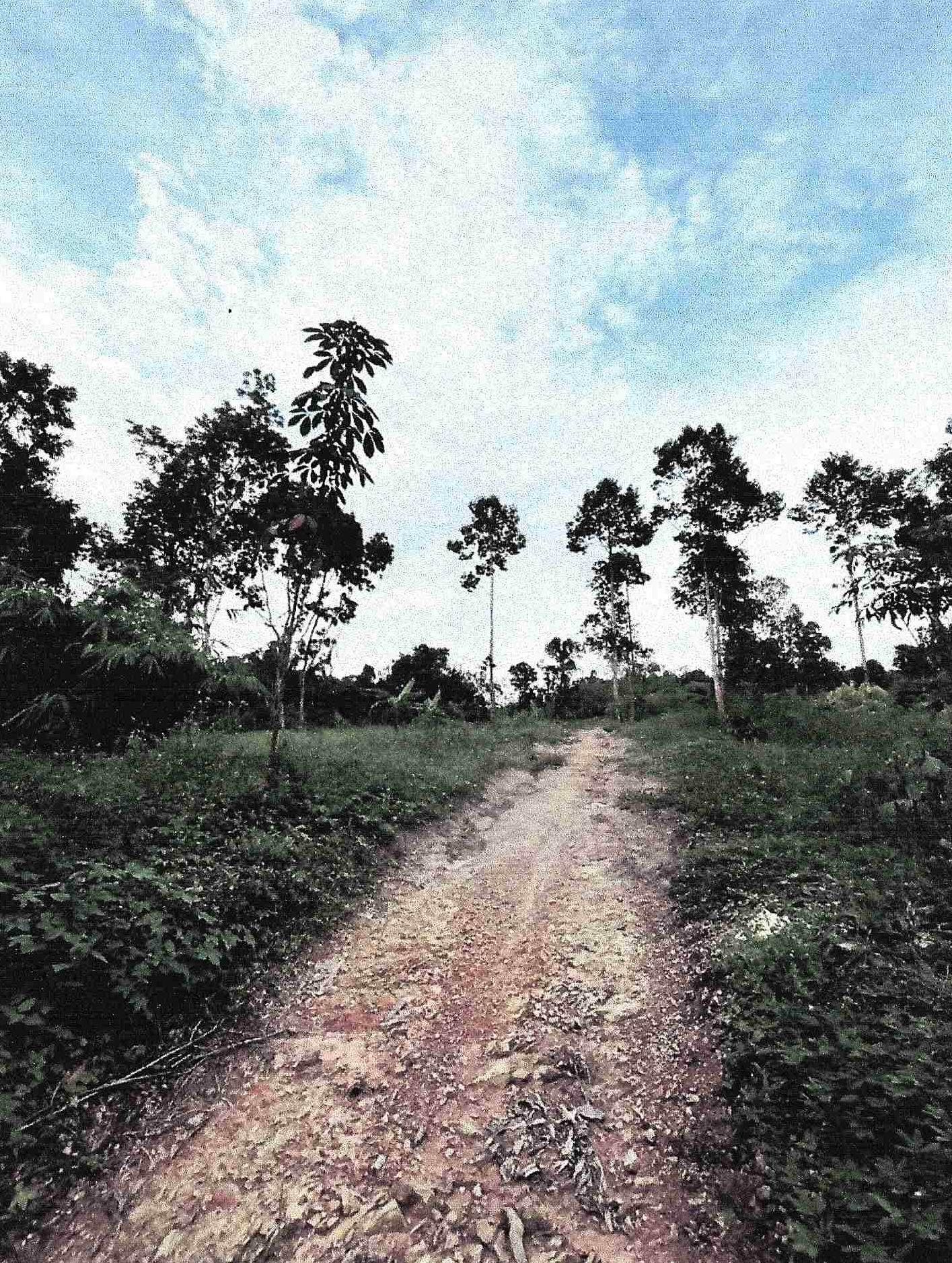 รูปที่ดินว่างเปล่า ตะกุกเหนือ วิภาวดี สุราษฎร์ธานี