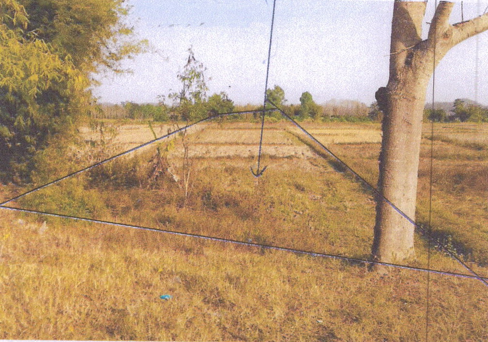 รูปที่ดินว่างเปล่า ดอยลาน เมืองเชียงราย เชียงราย