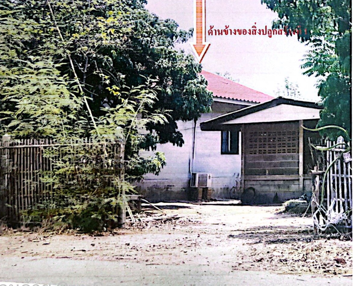 รูปที่ดินพร้อมสิ่งปลูกสร้าง นครเจดีย์ ป่าซาง ลำพูน