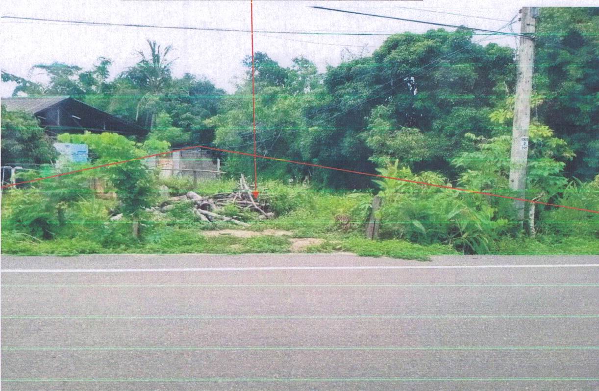 รูปที่ดินว่างเปล่า เจริญเมือง พาน เชียงราย