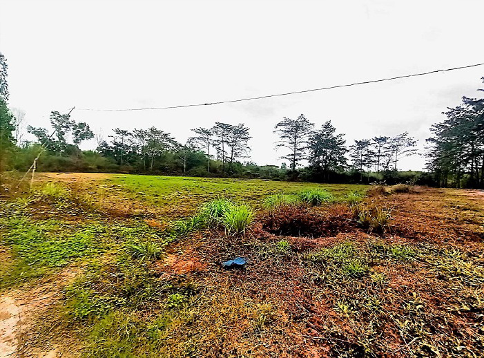 รูปที่ดินว่างเปล่า ด่านม่วงคำ โคกศรีสุพรรณ สกลนคร