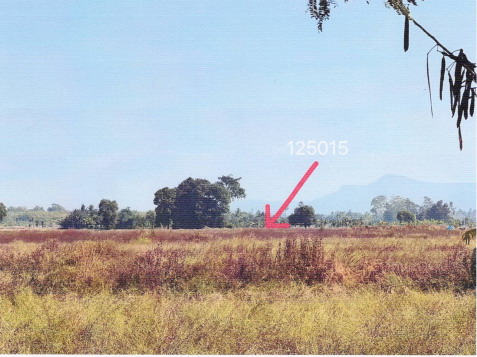 รูปที่ดินว่างเปล่า นายม เมืองเพชรบูรณ์ เพชรบูรณ์